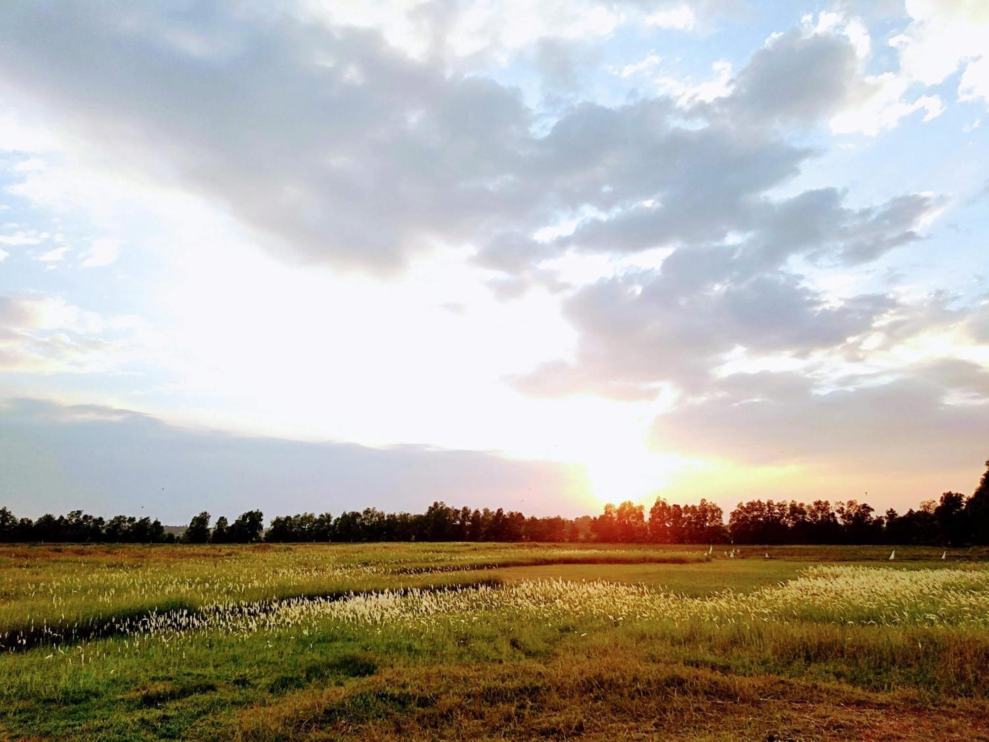 Lotus Farm Retreat Ho Şi Min Dış mekan fotoğraf