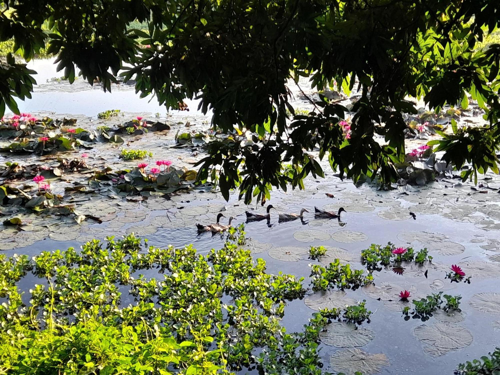 Lotus Farm Retreat Ho Şi Min Dış mekan fotoğraf